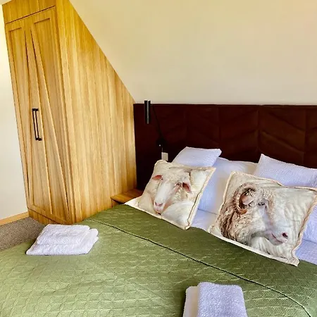 Widokowelove Z Widokiem Na Panorame Tatr - Mountain View 木屋 *